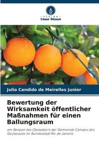 bokomslag Bewertung der Wirksamkeit öffentlicher Maßnahmen für einen Ballungsraum