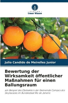Julio Candido de Meirelles Junior - Bewertung der Wirksamkeit öffentlicher Maßnahmen für einen Ballungsraum, Häftad