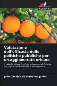 bokomslag Valutazione dell'efficacia delle politiche pubbliche per un agglomerato urbano