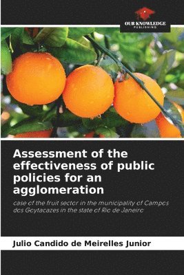 Assessment of the effectiveness of public policies for an agglomeration