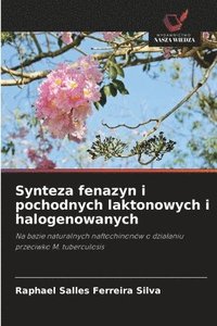 bokomslag Synteza fenazyn i pochodnych laktonowych i halogenowanych