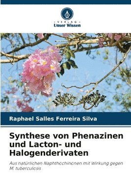 Raphael Salles Ferreira Silva - Synthese von Phenazinen und Lacton- und Halogenderivaten, Häftad