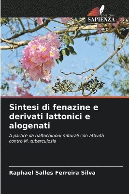 Raphael Salles Ferreira Silva - Sintesi di fenazine e derivati lattonici e alogenati, Häftad