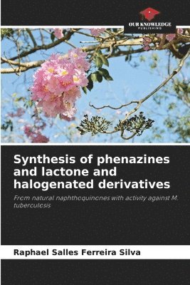 Raphael Salles Ferreira Silva - Synthesis of phenazines and lactone and halogenated derivatives, Häftad