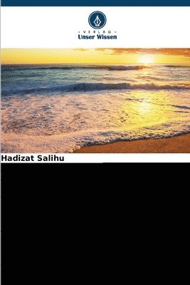 Hadizat Salihu - Von I.W.D. zu N.I.W.A.; Auswirkungen auf die Entwicklung von Lokoja 1956-2007, Häftad