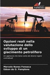 bokomslag Opzioni reali nella valutazione dello sviluppo di un giacimento petrolifero
