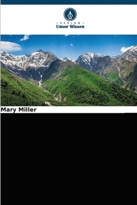 Mary Miller - Nationalismus, Identität und Rhetorik in Bosnien-Herzegowina, Häftad