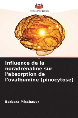 bokomslag Influence de la noradrénaline sur l'absorption de l'ovalbumine (pinocytose)