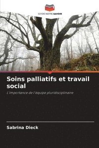 bokomslag Soins palliatifs et travail social