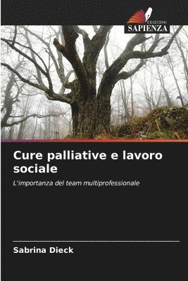 Sabrina Dieck - Cure palliative e lavoro sociale, Häftad