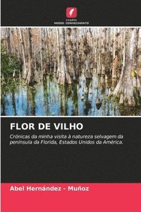 bokomslag Flor de Vilho