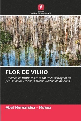 bokomslag Flor de Vilho
