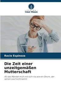 bokomslag Die Zeit einer unzeitgemäßen Mutterschaft