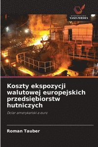 bokomslag Koszty ekspozycji walutowej europejskich przedsi?biorstw hutniczych