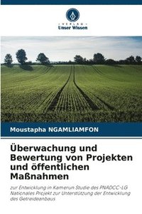 bokomslag Überwachung und Bewertung von Projekten und öffentlichen Maßnahmen