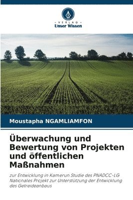 bokomslag Überwachung und Bewertung von Projekten und öffentlichen Maßnahmen
