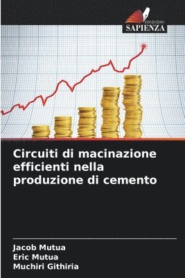 bokomslag Circuiti di macinazione efficienti nella produzione di cemento