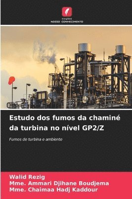 Estudo dos fumos da chaminé da turbina no nível GP2/Z