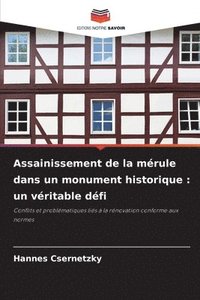 bokomslag Assainissement de la mérule dans un monument historique: un véritable défi