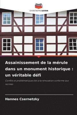 bokomslag Assainissement de la mérule dans un monument historique: un véritable défi