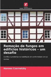 bokomslag Remoção de fungos em edifícios históricos - um desafio