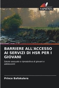bokomslag Barriere All'accesso AI Servizi Di Hsr Per I Giovani