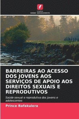 bokomslag Barreiras Ao Acesso DOS Jovens Aos Serviços de Apoio Aos Direitos Sexuais E Reprodutivos