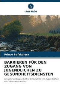 bokomslag Barrieren Für Den Zugang Von Jugendlichen Zu Gesundheitsdiensten