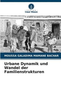 bokomslag Urbane Dynamik und Wandel der Familienstrukturen