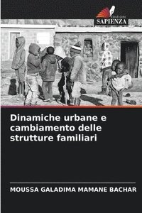 bokomslag Dinamiche urbane e cambiamento delle strutture familiari