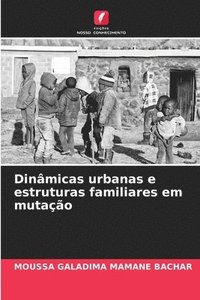 bokomslag Dinâmicas urbanas e estruturas familiares em mutação