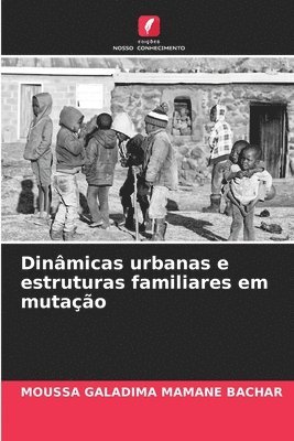 bokomslag Dinâmicas urbanas e estruturas familiares em mutação