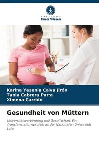 bokomslag Gesundheit von Müttern