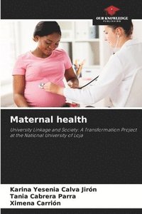 bokomslag Maternal health