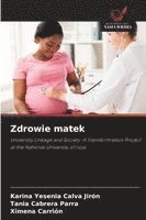 bokomslag Zdrowie matek