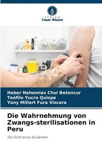 bokomslag Die Wahrnehmung von Zwangs-sterilisationen in Peru