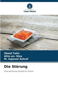 bokomslag Die Störung