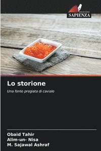 bokomslag Lo storione