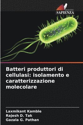bokomslag Batteri produttori di cellulasi: isolamento e caratterizzazione molecolare