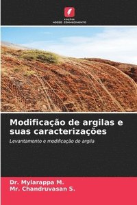 bokomslag Modificação de argilas e suas caracterizações