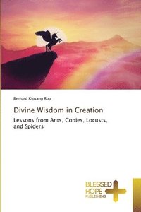 bokomslag Divine Wisdom in Creation