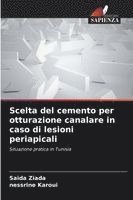 bokomslag Scelta del cemento per otturazione canalare in caso di lesioni periapicali