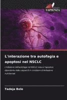 bokomslag L'interazione tra autofagia e apoptosi nel NSCLC