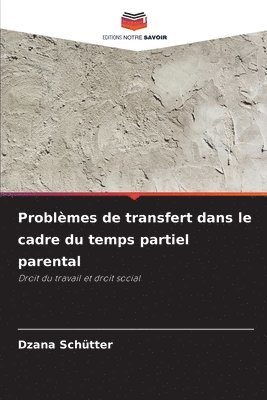 Dzana Schütter - Problèmes de transfert dans le cadre du temps partiel parental, Häftad