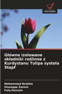 bokomslag Glówne izolowane skladniki ro?linne z Kurdystanu Tulipa systola Stapf