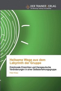 bokomslag Heilsame Wege aus dem Labyrinth der Gruppe