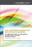 bokomslag Lern- und Erfahrungsräume mit Spiral Dynamics gestalten