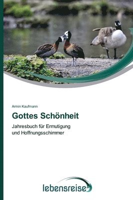 bokomslag Gottes Schnheit