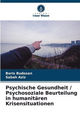 Boris Budosan, Sabah Aziz - Psychische Gesundheit / Psychosoziale Beurteilung in humanitären Krisensituationen, Häftad