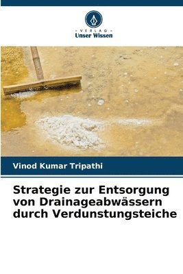 Strategie zur Entsorgung von Drainageabwässern durch Verdunstungsteiche